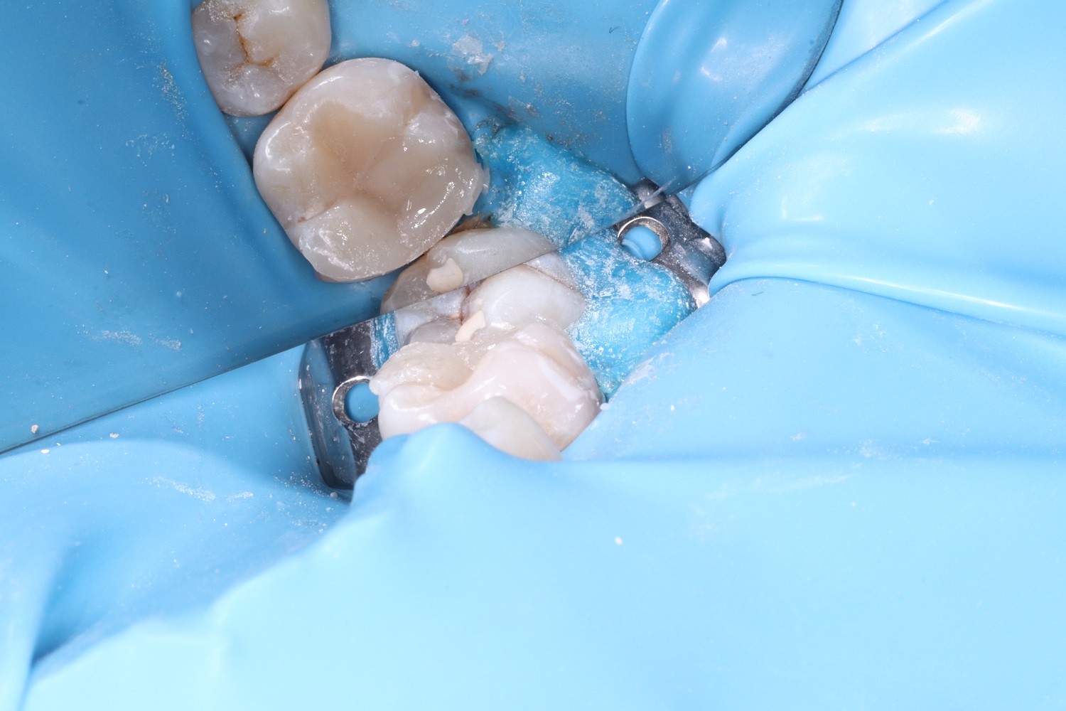 Essential Orthodontic 2024 Dental Learning Horizon